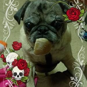 Meet your Posher, Cathy